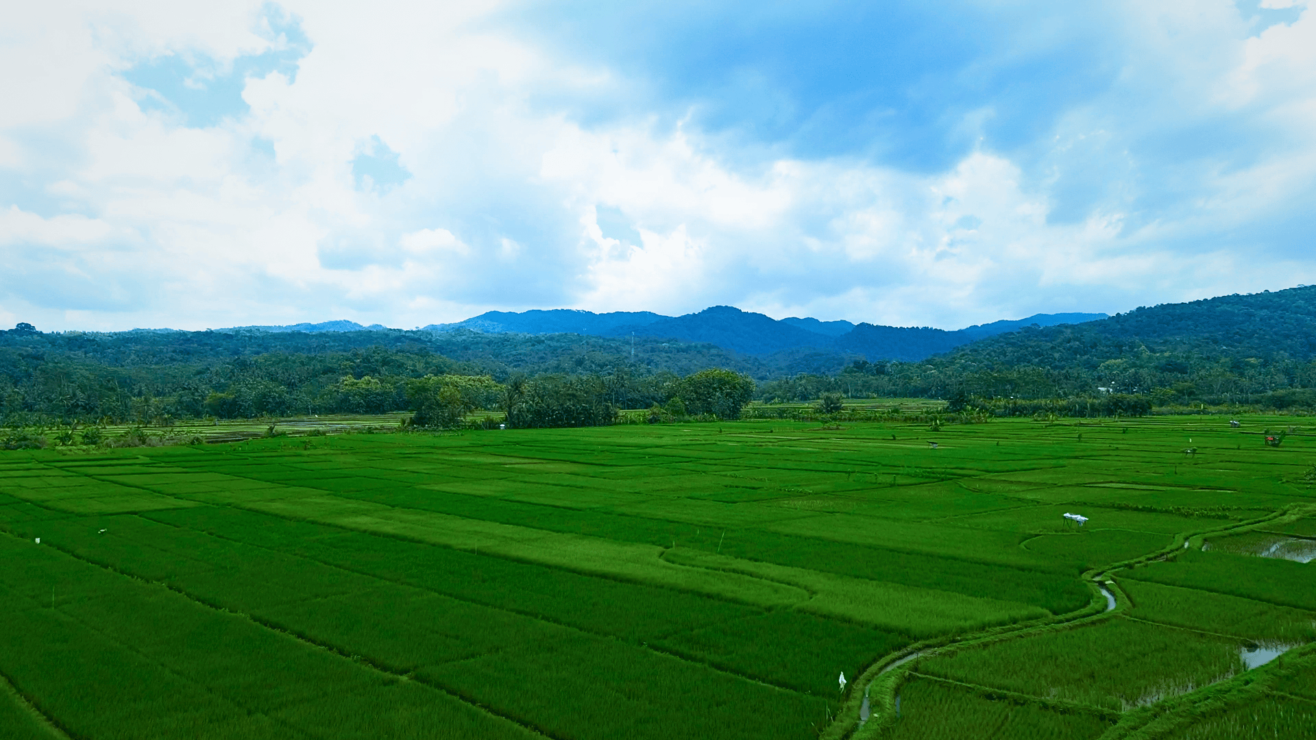 Smash Kebugaran dan Solidaritas: Tradisi Olahraga Voli yang Tak Pernah Padam di Desa Mlaran